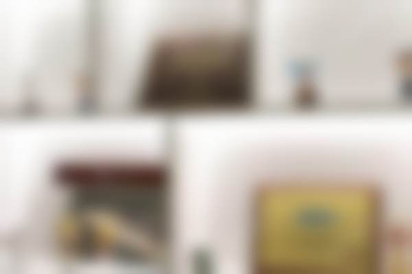 温州艺星口腔中 心核心项目