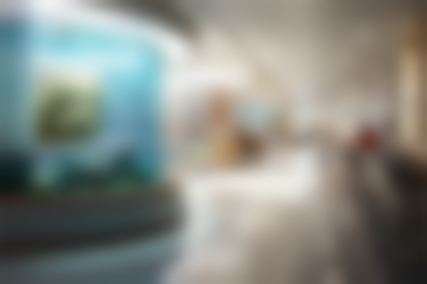 广西南宁河马先生口腔门诊部