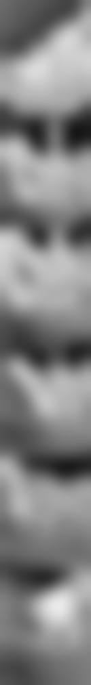 深圳郑新奇口腔核心项目