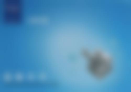 伍仲东技术水平评价