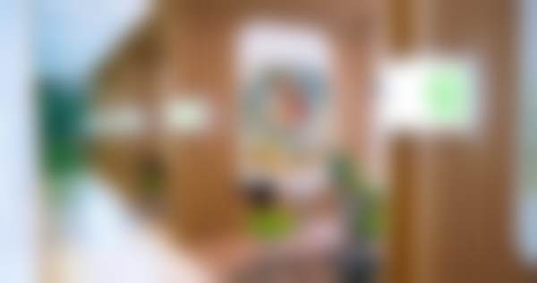 杨箭技术水平评价