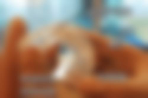 浙江衢州鹿鸣口腔门诊部实例参考