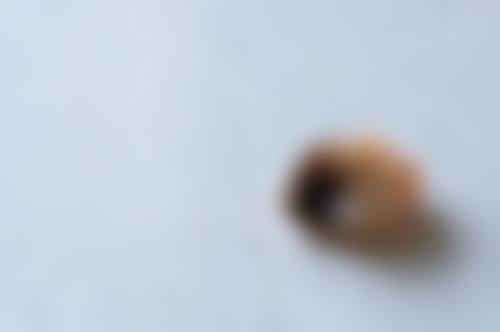 王少敏擅长项目列表