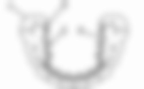 琴秉卓患者评价