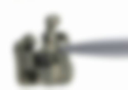 赵雪忠资质与专精介绍