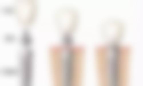 广东梅州丰顺雅美仕口腔医生团队