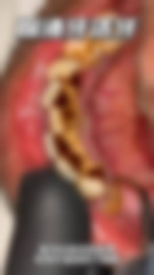 重庆李德军口腔正规吗？看资质