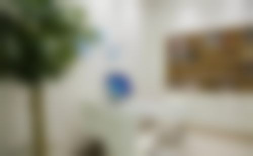 李来友资质与专精介绍