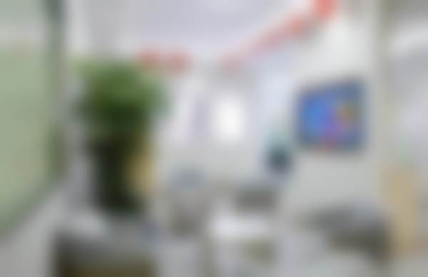 李来友擅长项目列表