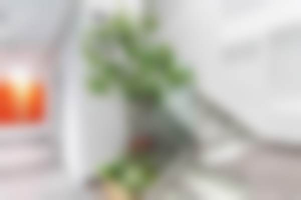 贵阳观山湖橙恩口腔门诊部正规吗？看资质