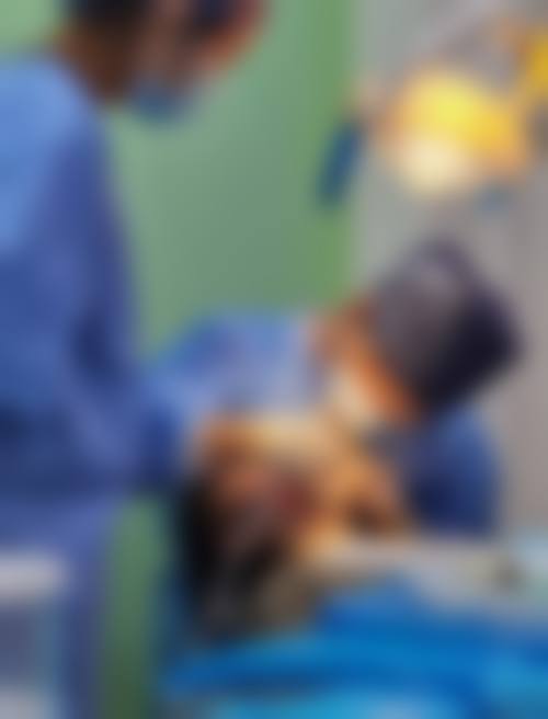 株洲雅贝尔口腔(慧雅门诊部)2026价格表参考