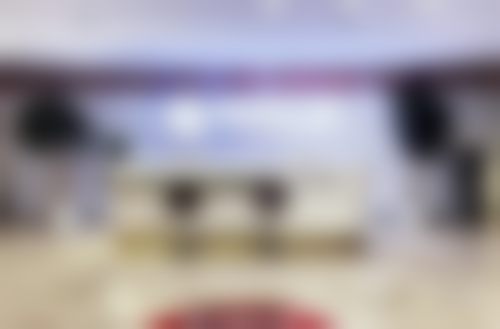 王振海技术水平评价