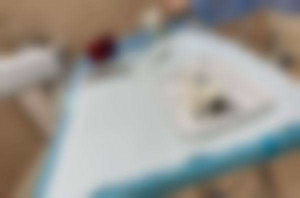 蒋恒春擅长项目列表