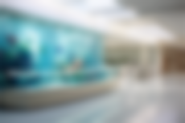 西安莎莎口腔诊所2026价格表参考