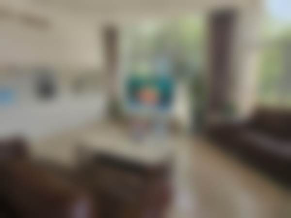 张子奇擅长项目列表