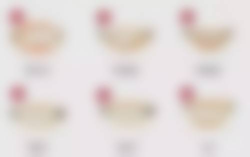 熊雨康擅长项目列表