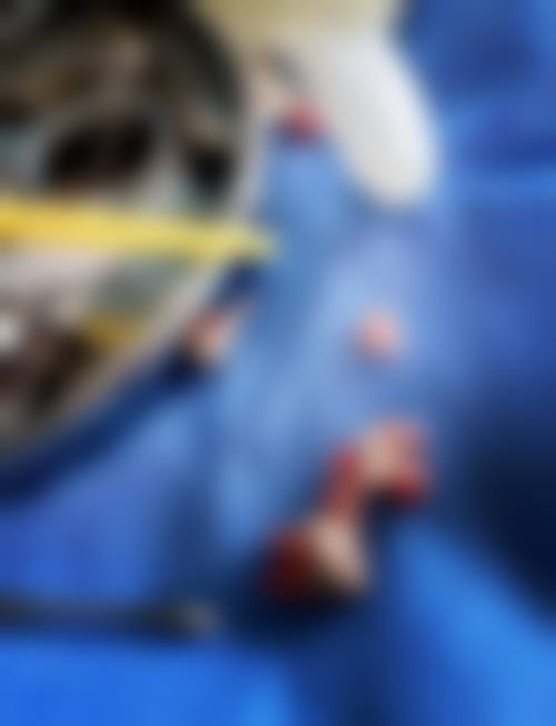 临朐聂氏口腔口碑评价