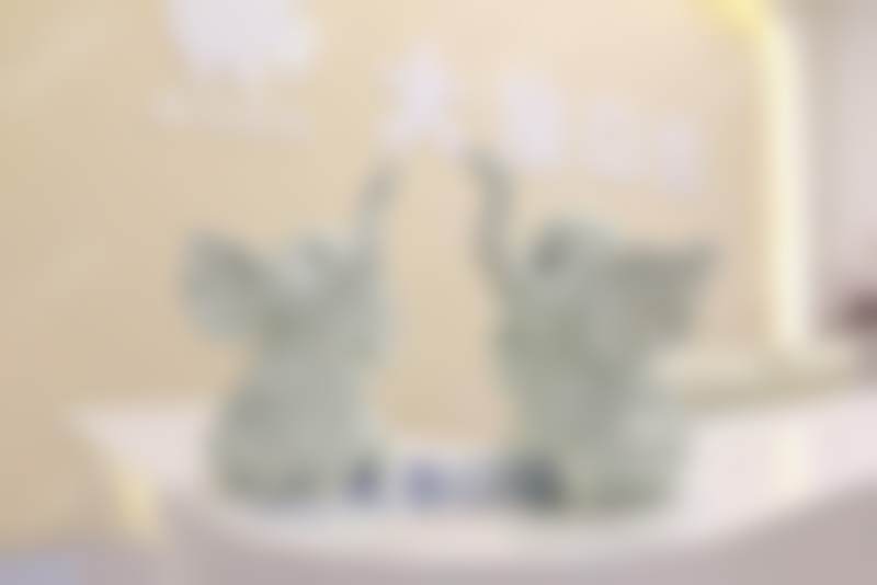 海口美兰大象口腔门诊部医生团队解析