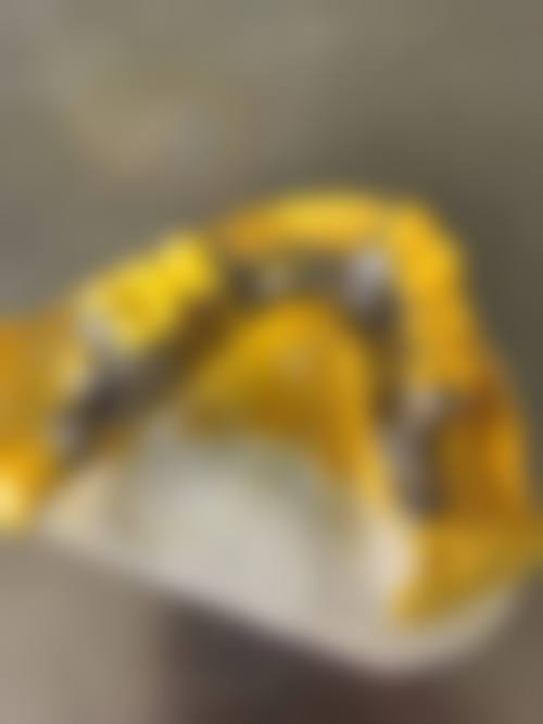 北京密云九龙口腔门诊部医生团队