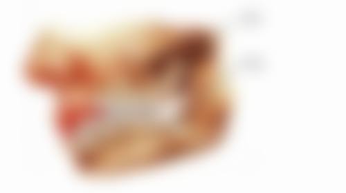 通化爱德口腔医院医生团队