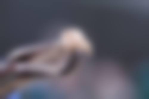 【广州市保生口腔门诊部技术设备与环境】