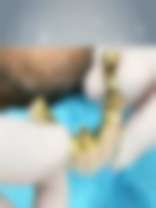 【沈阳京科口腔预约挂号方式与流程】