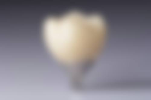 【汕头市思克口腔诊所骨干医生团队与技术标准】