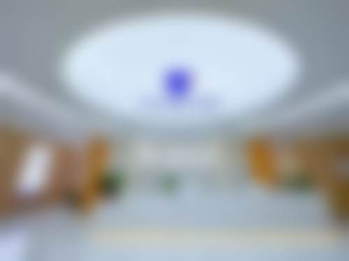【深圳卫佳康口腔(罗湖店)骨干医生团队与技术标准】