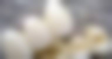 【绵阳海豚口腔诊所特色诊疗项目】