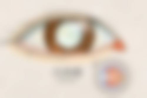 广州佰视佳眼科2026年收费价格表公示