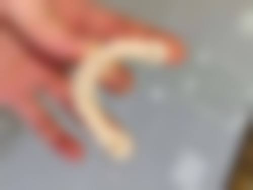 广东广州雅伦美口腔常见问题FAQ